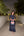 LUX PEARL